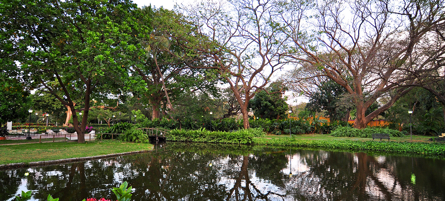 wideslider_image_04