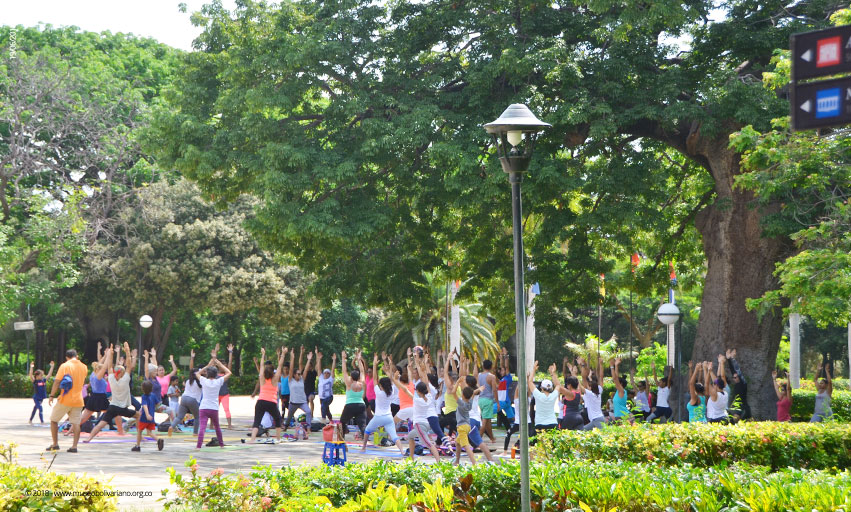 yoga en la quinta de san pedro