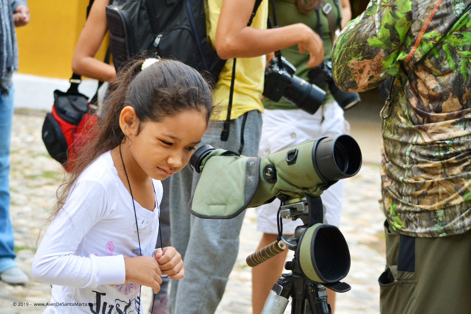 taller de observación de aves para niños