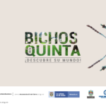 bichos de la quinta