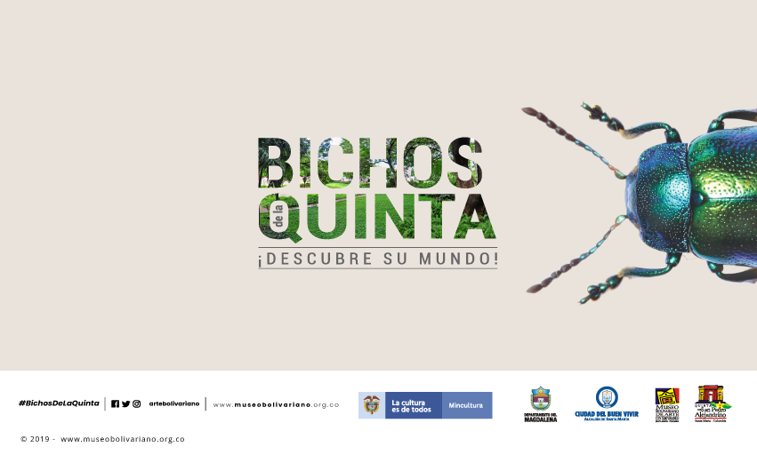 bichos de la quinta